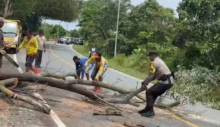 Bhabinkamtibmas Membersihkan Pohon Tumbang Yang Menghalangi Jalan Raya di Desa Panyindangan Wetan
