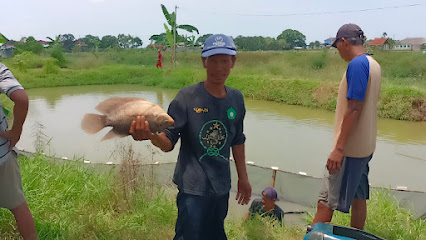 PUSAT BUDIDAYA IKAN GURAME